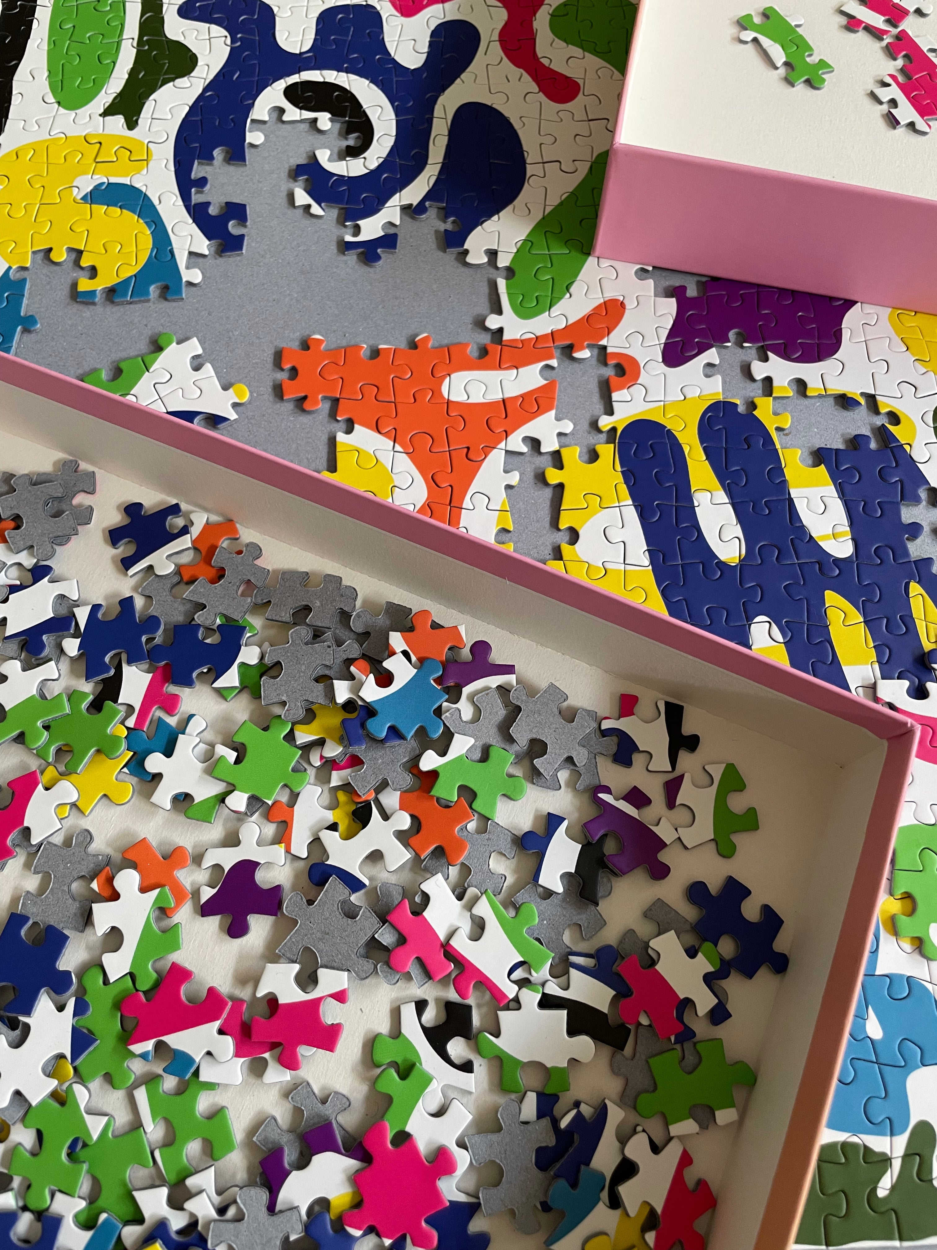 Colorful Splash, 1000 Teile Premium Puzzle für Erwachsene
